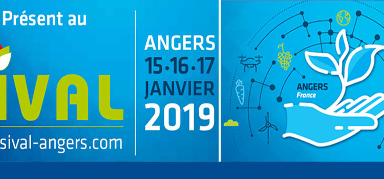 sival 2019