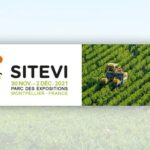 sitevi 2021