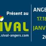 sival 2023