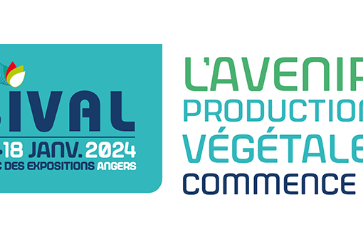 sival-2024