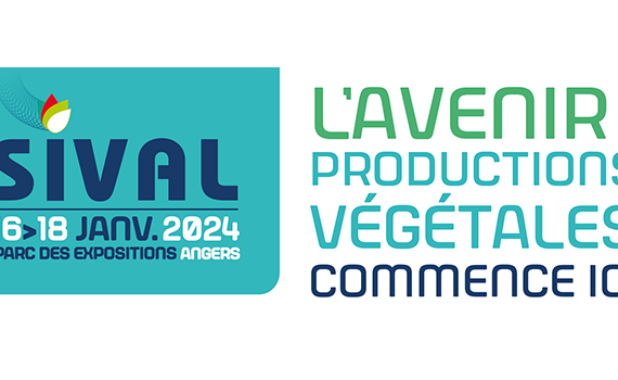 sival-2024