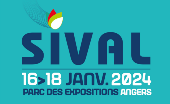sival 2024