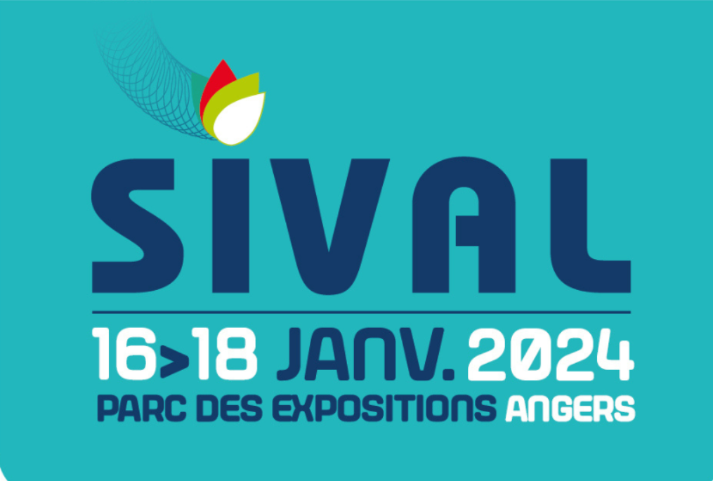 sival 2024