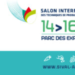 sival 2025