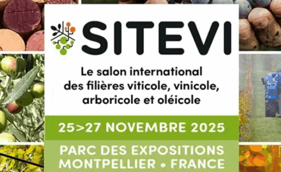 sitevi 2025