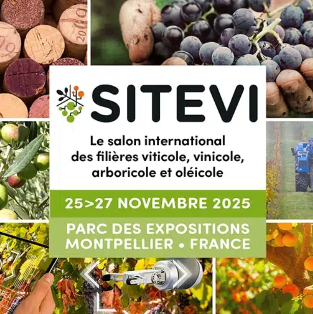 sitevi 2025