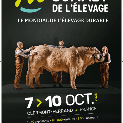 Sommet elevage Bechamatic