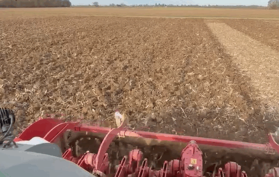 bechamatic rotobeche